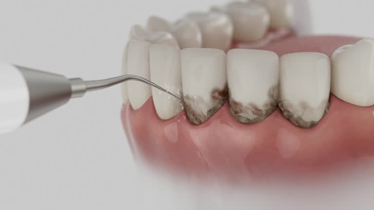 Reliable Dental contractor in Brent, AL by Dentist Open Now